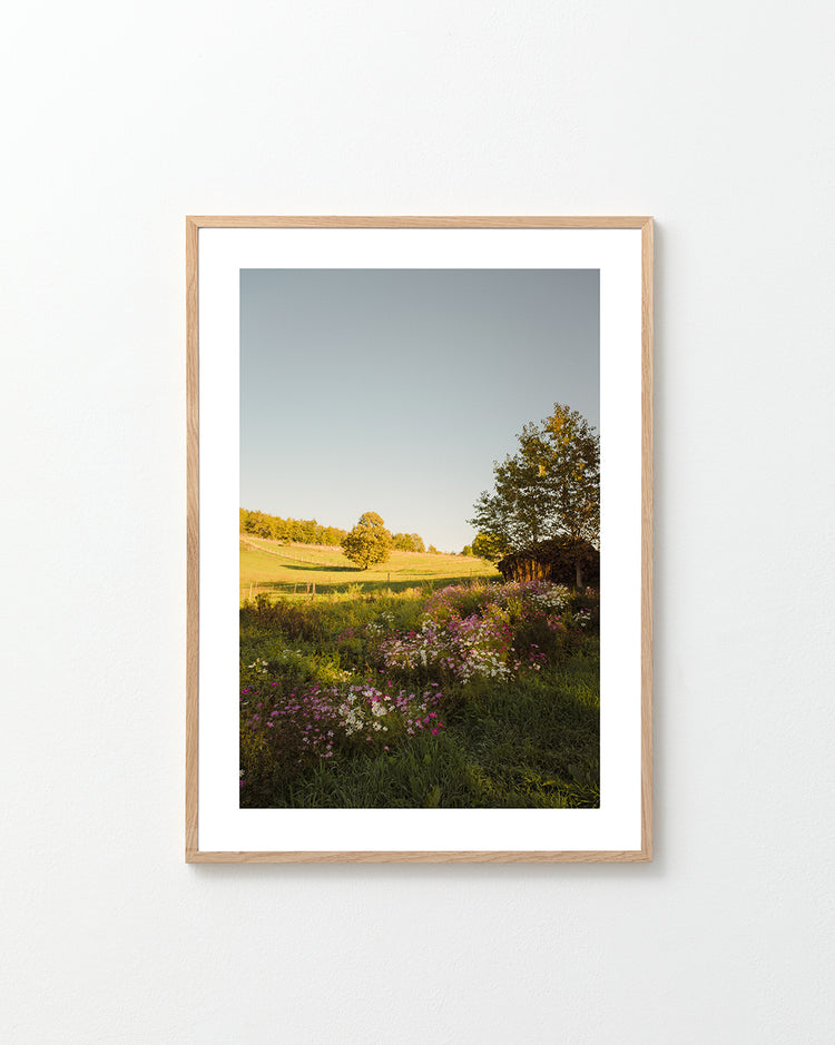 Green paddocks and fields surrounded by forests and colorful wildflowers.