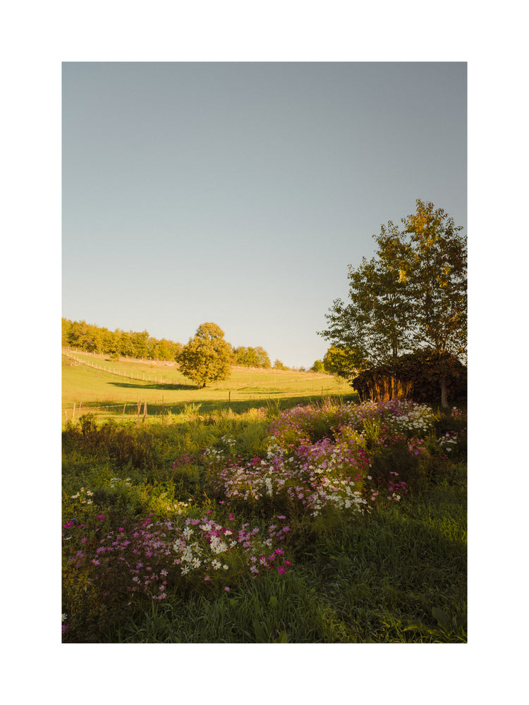 Green paddocks and fields surrounded by forests and colorful wildflowers.