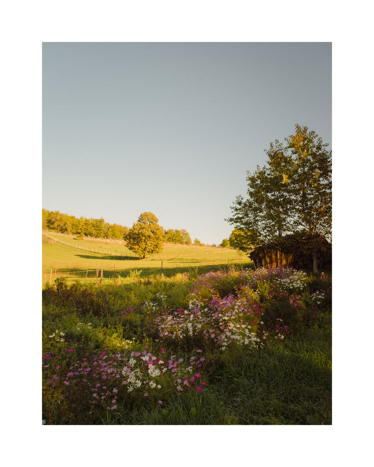 Green paddocks and fields surrounded by forests and colorful wildflowers.