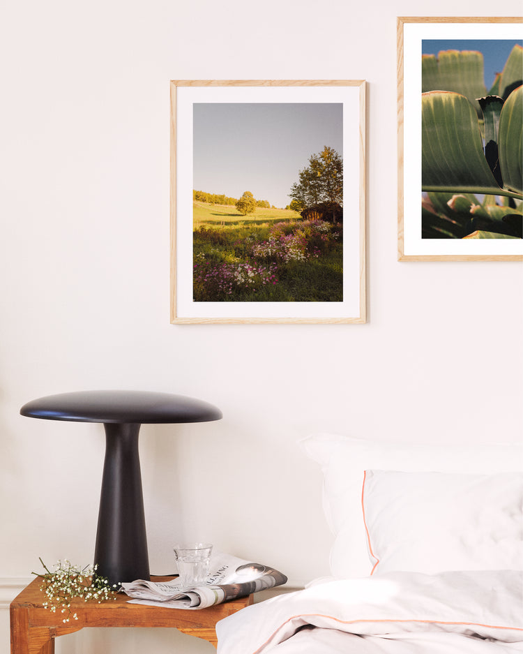 August Garden in Transylvania Poster