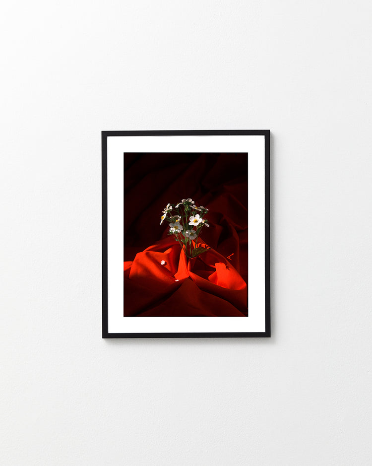 Strawberry Poster