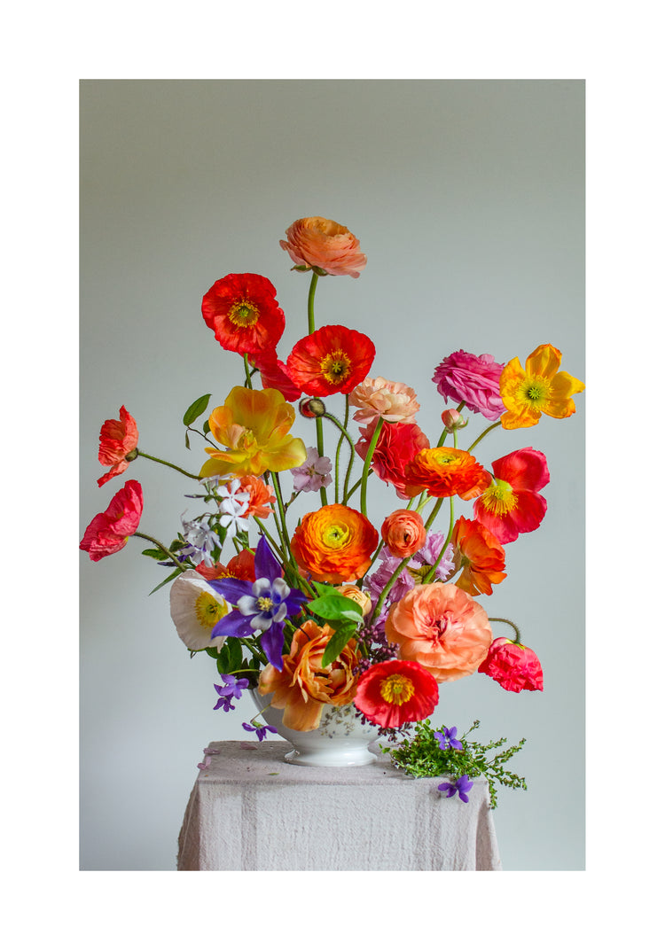 Poppies Popping Poster
