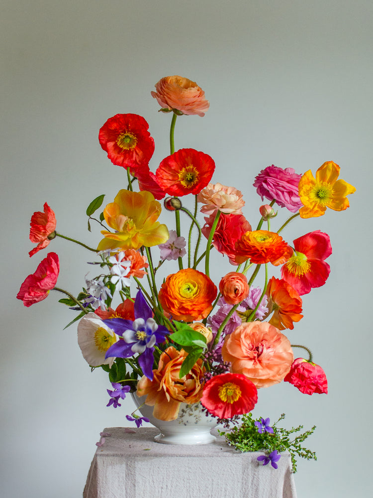 Poppies Popping Poster