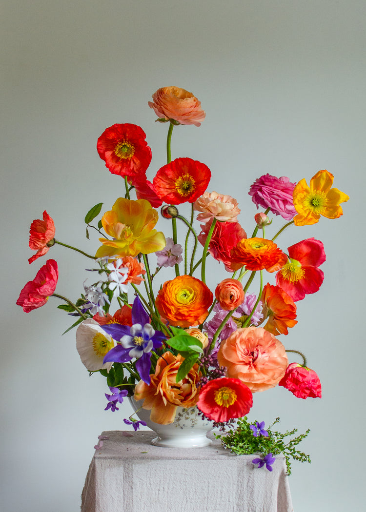 Poppies Popping Poster