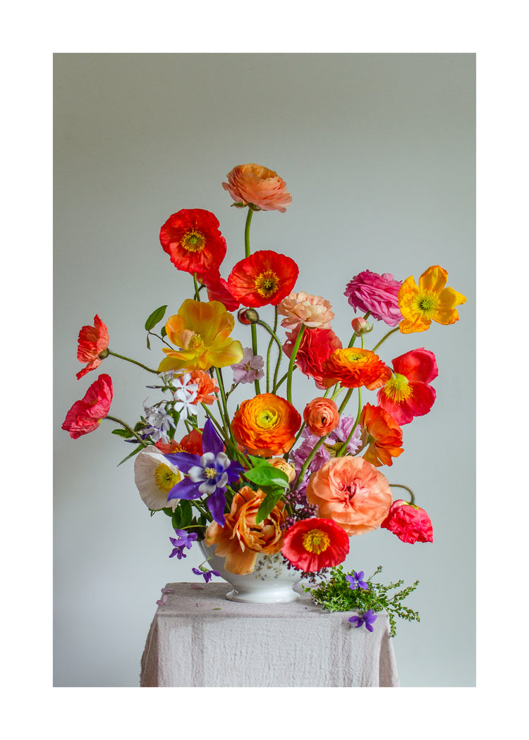Poppies Popping Poster