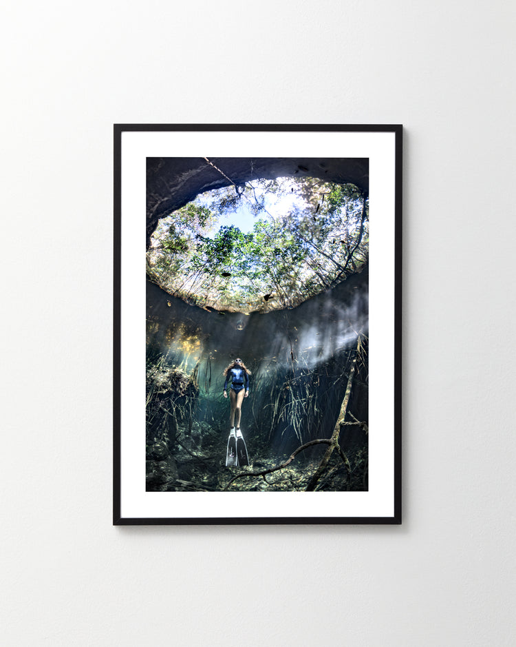 Alice in Wonderland Poster