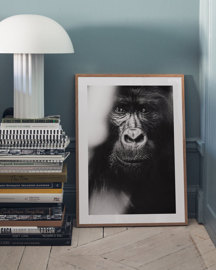A Friendly Face Poster, featuring a black and white gorilla close-up, leans against the wall on a wooden floor. Nearby, a stack of books sits beside a modern white lamp on a side table.