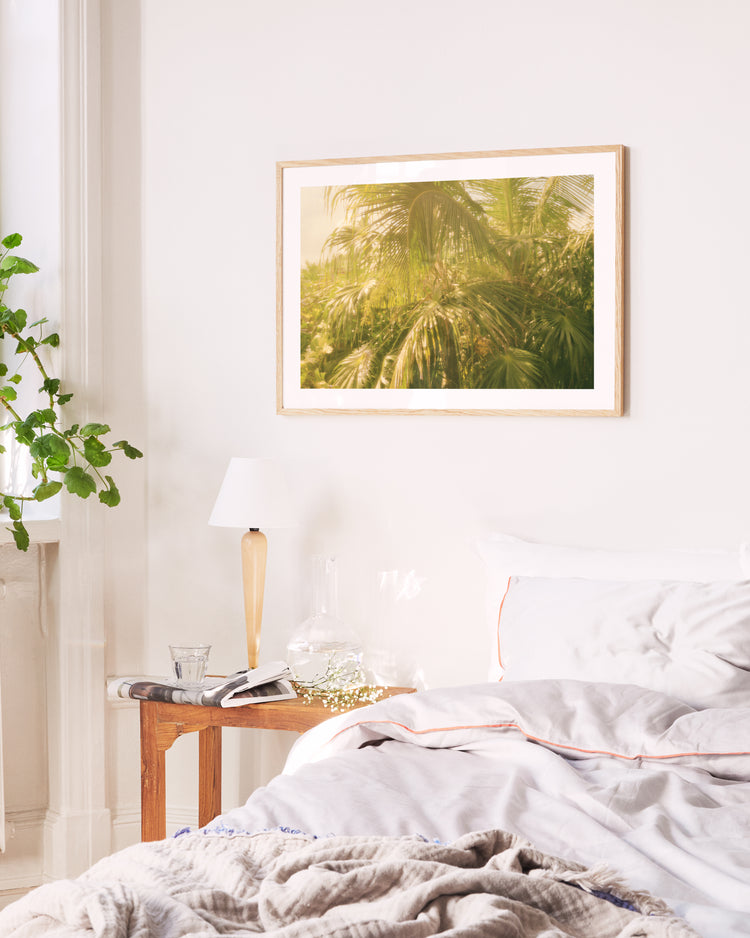 Bright bedroom scene with a cozy unmade bed and a wooden side table holding a lamp, book, and jar. A framed Chlorophyll Poster with lush green palm leaves hangs on the white wall, encapsulating Chloriss touch. Lush vegetation is visible through the window.