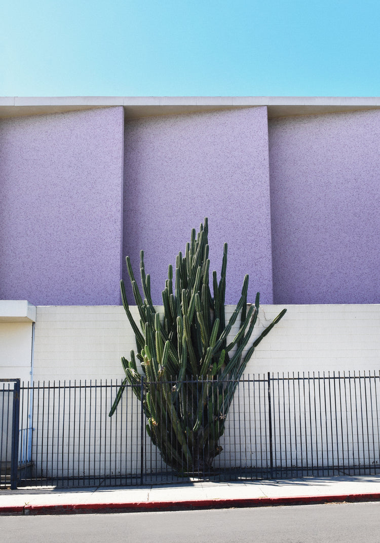 The Mosaic Church by the 101 Poster