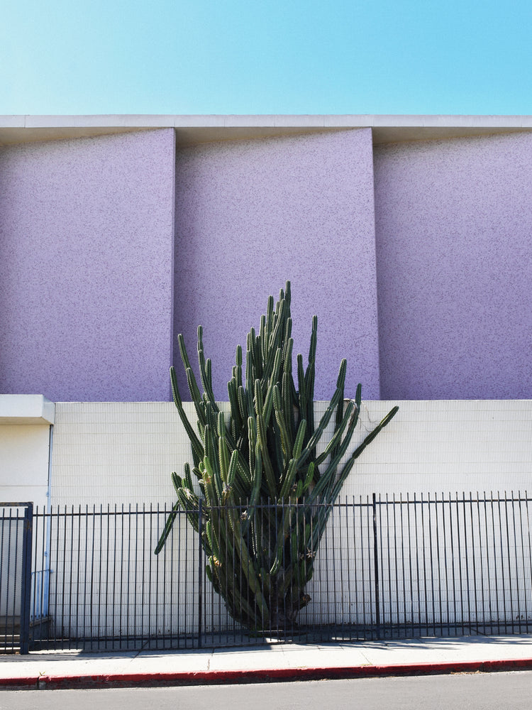 The Mosaic Church by the 101 Poster