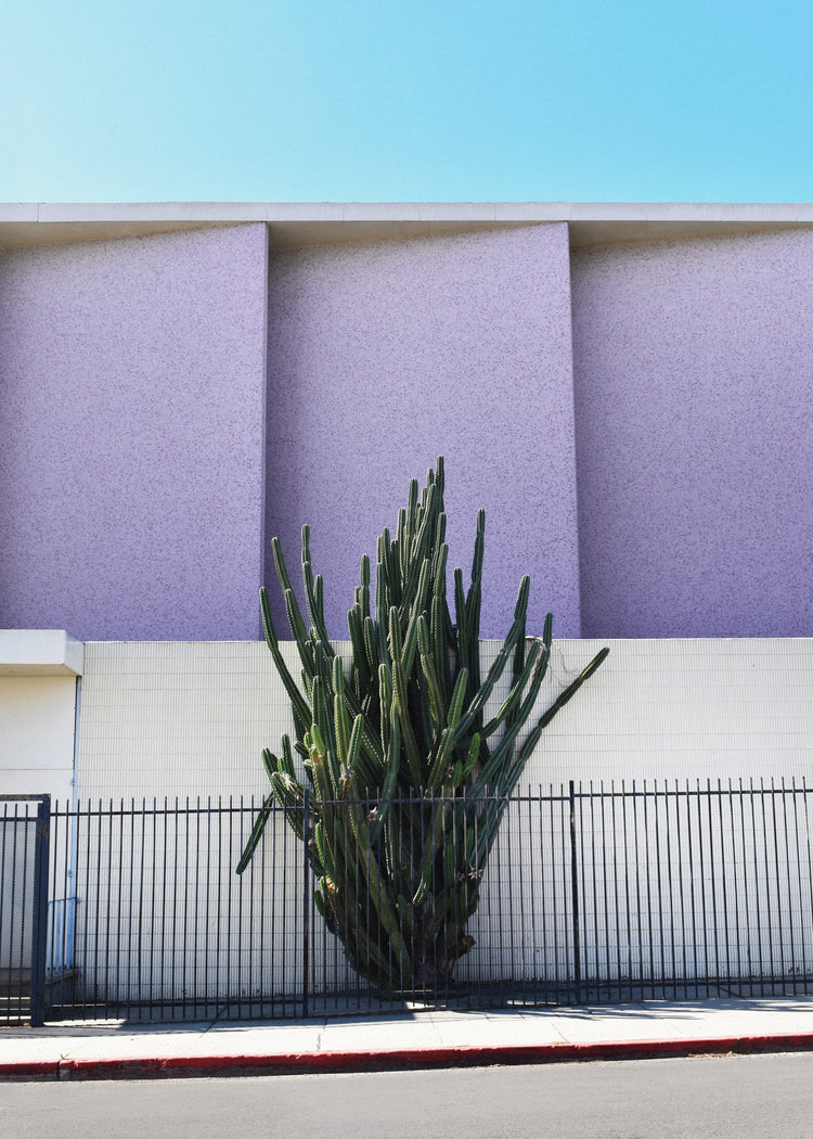 The Mosaic Church by the 101 Poster