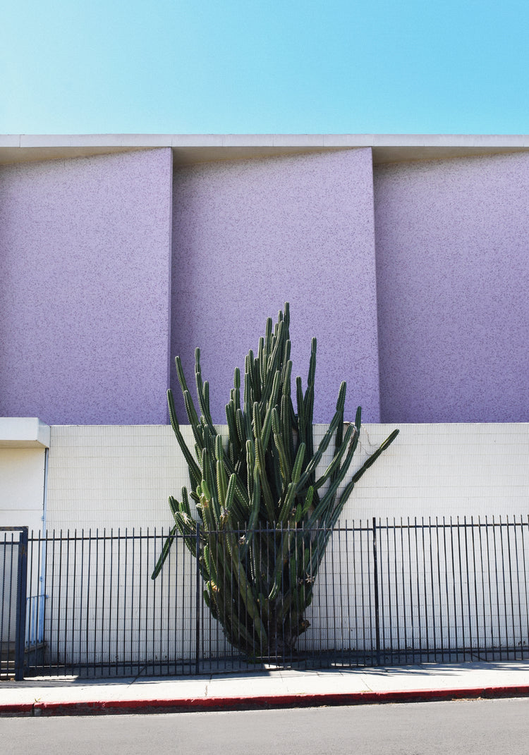 The Mosaic Church by the 101 Poster