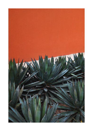 Dense spiky green agave plants stand in front of an orange stucco wall, reminiscent of a retro poster. The vibrant contrast with the dark green foliage mirrors scenes around Pershing Square, Los Angeles, similar to the design of the Pershing Square Red Poster.