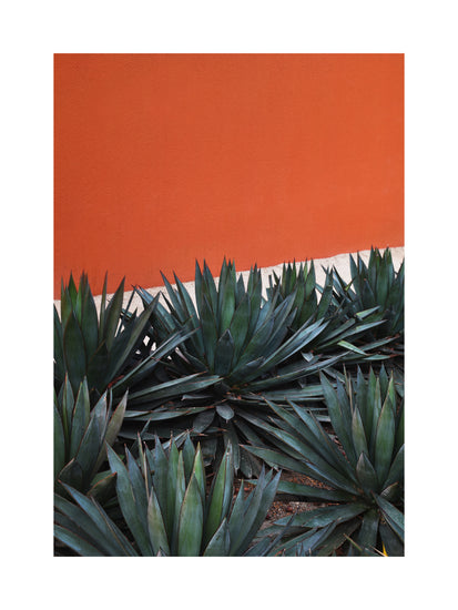 Agave plants against a vibrant terracotta wall create a striking composition reminiscent of the Pershing Square Red Poster, perfectly capturing the lively ambiance of Los Angeles.