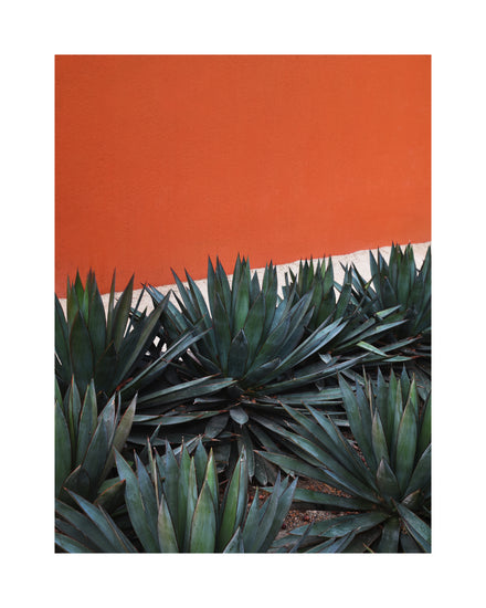 The Pershing Square Red Poster captures the striking contrast of green agave plants against a rich terracotta wall in Los Angeles, evoking calm and natural beauty with its neat arrangement—an ideal decorative piece.