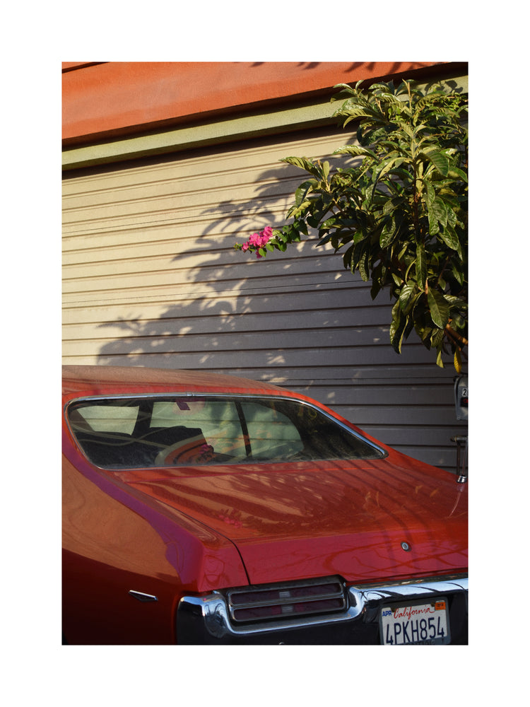 Venice Beach Auto Shop Poster