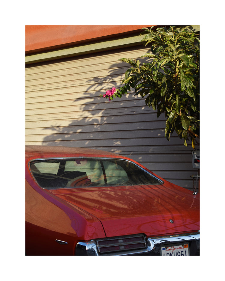 Venice Beach Auto Shop Poster