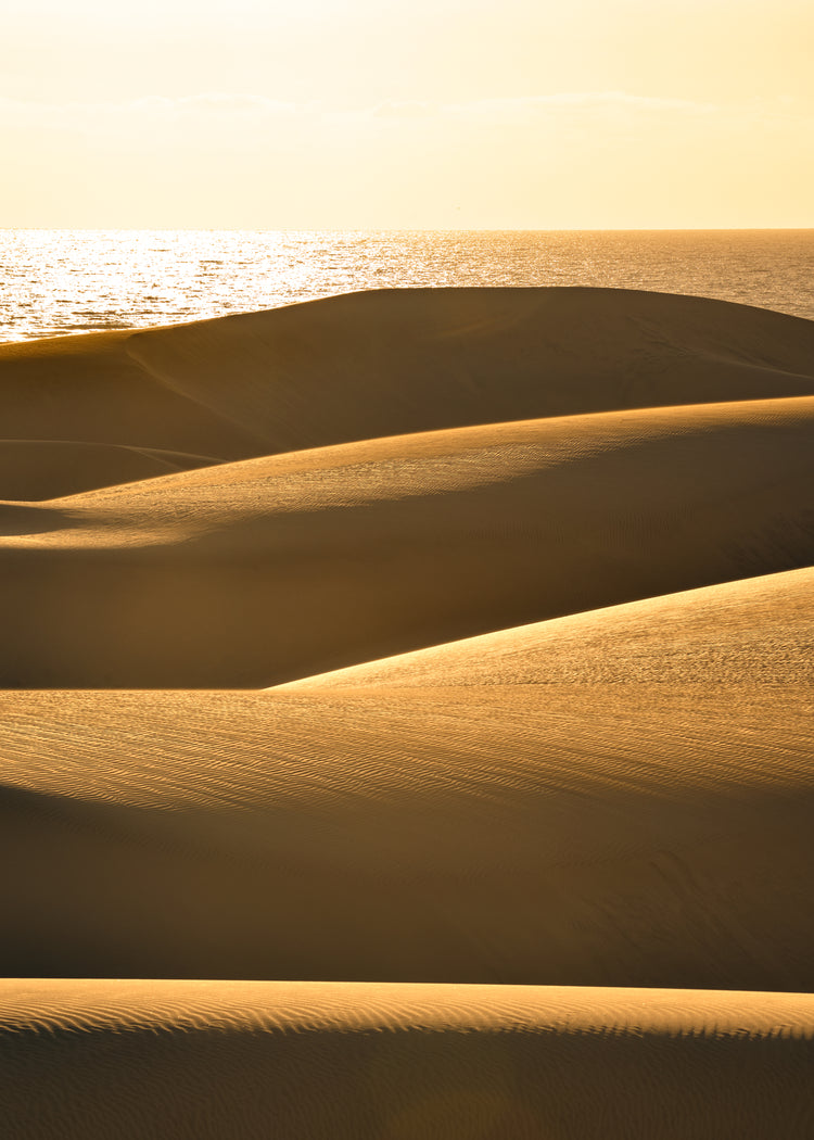 Sand dunes and a calm sea sparkling like gold.