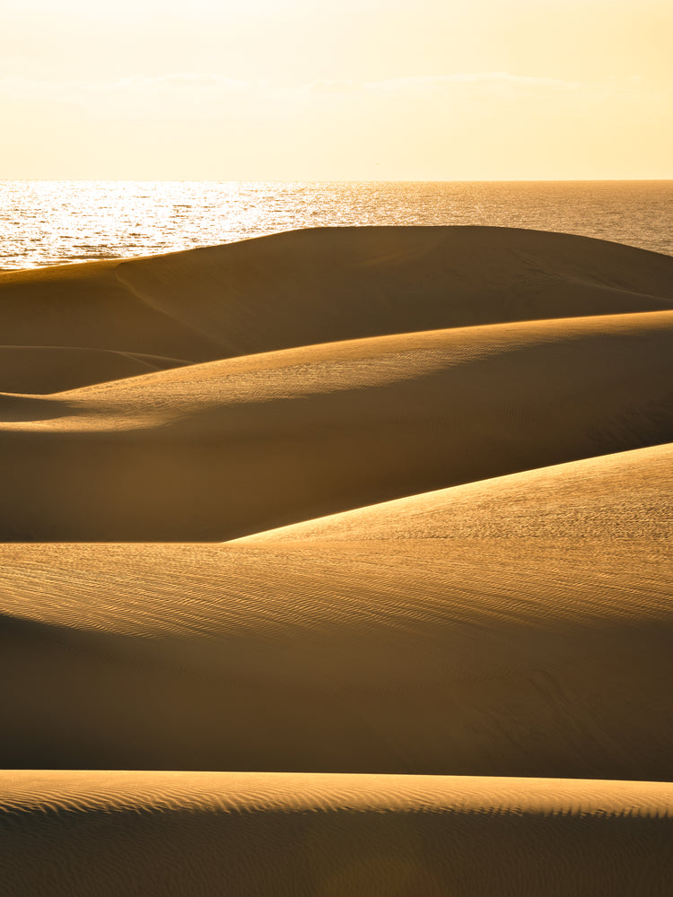 Sand dunes and a calm sea sparkling like gold.