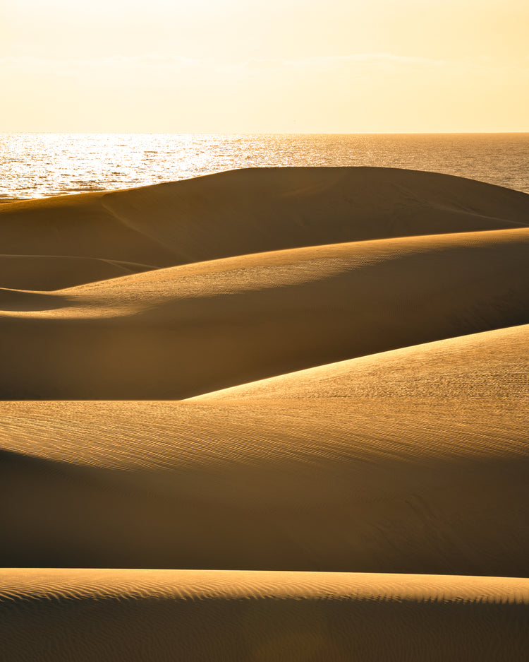 Sand dunes and a calm sea sparkling like gold.