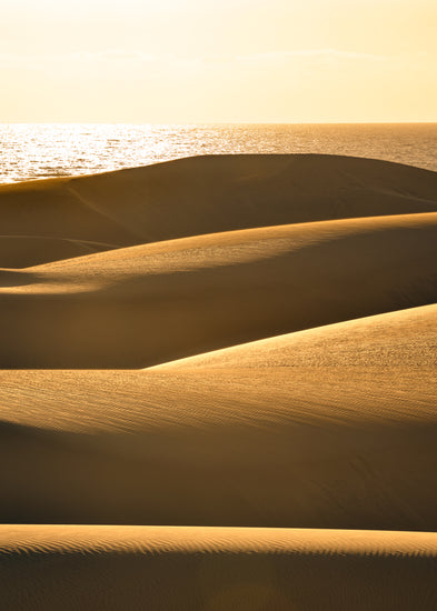 Sand dunes and a calm sea sparkling like gold.