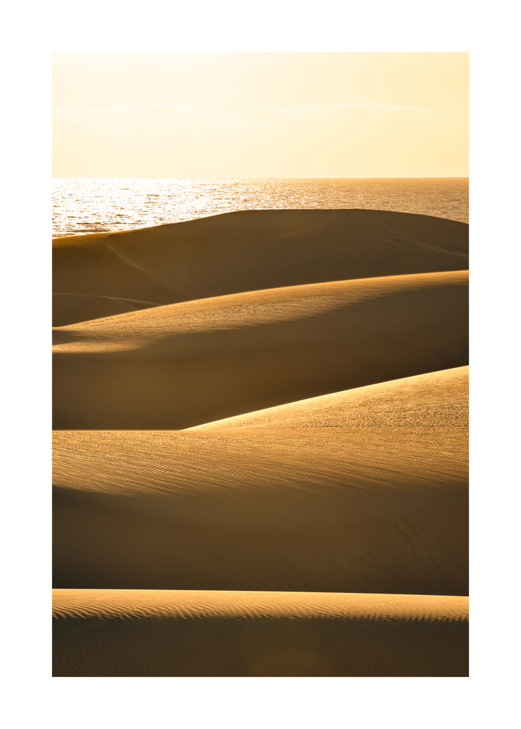 Sand dunes and a calm sea sparkling like gold.
