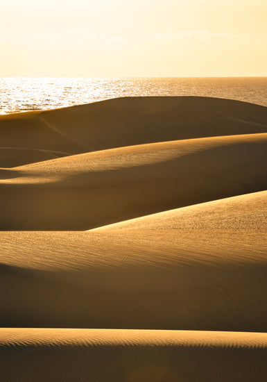 Sand dunes and a calm sea sparkling like gold.
