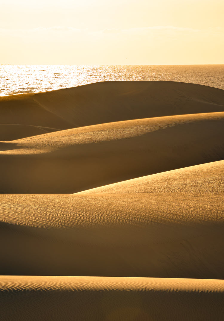 Sand dunes and a calm sea sparkling like gold.