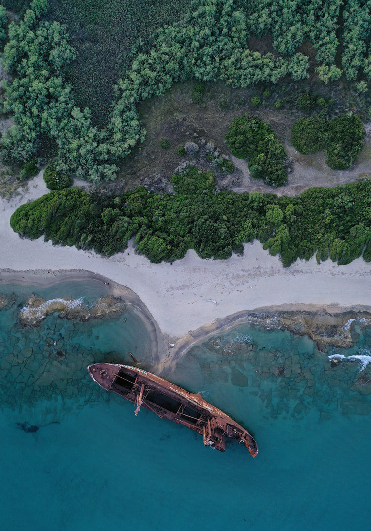 A shipwreck washed up on shore laying between the blue ocean and a green forest.