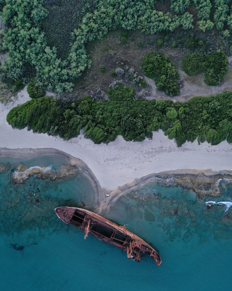 A shipwreck washed up on shore laying between the blue ocean and a green forest.