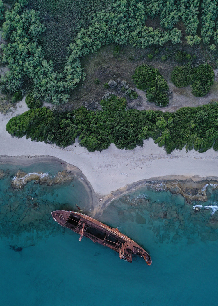 A shipwreck washed up on shore laying between the blue ocean and a green forest.