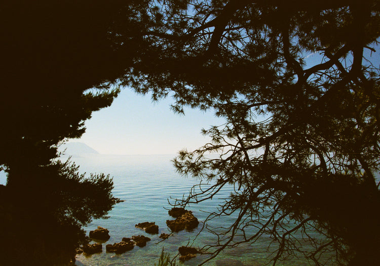 View of the Mediterranean Sea framed by outlines of trees.