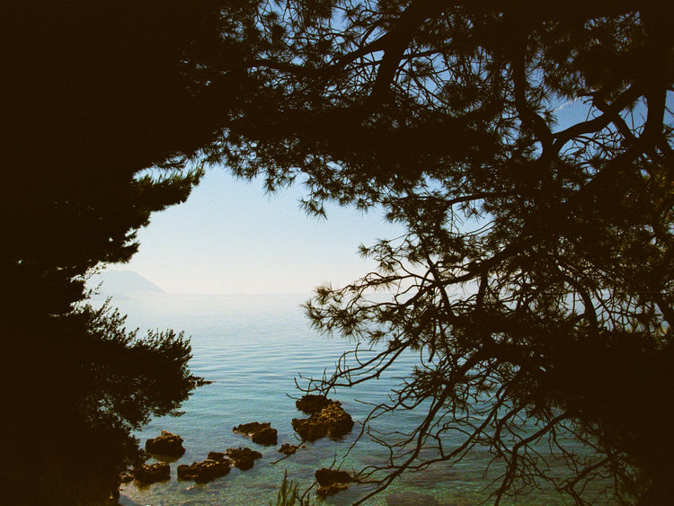 View of the Mediterranean Sea framed by outlines of trees.