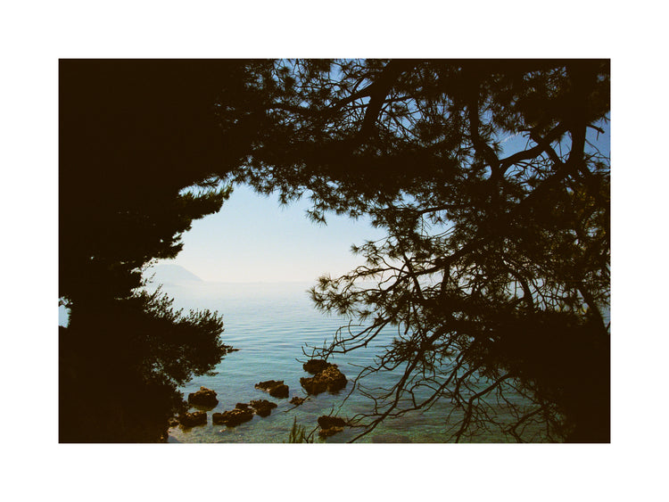 View of the Mediterranean Sea framed by outlines of trees.