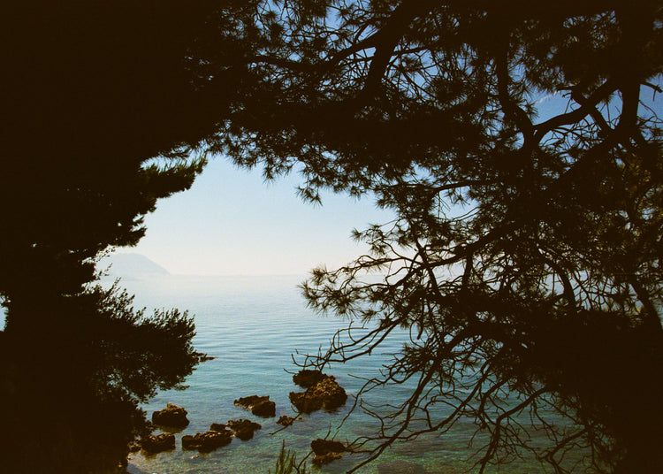 View of the Mediterranean Sea framed by outlines of trees.