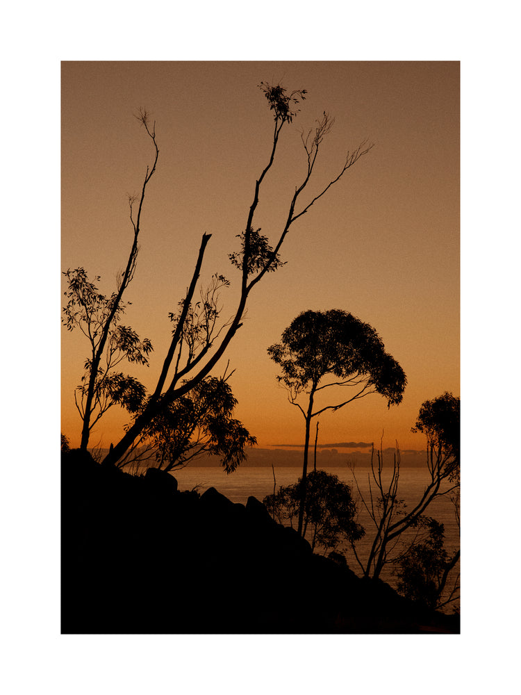 Sunset or sunrise beyond a cliff with black trees silhouetted against the sky.