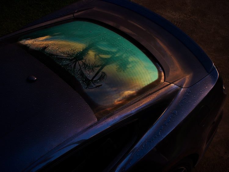Sunset sky and outlines of palm trees reflected in a rain-stained car window.