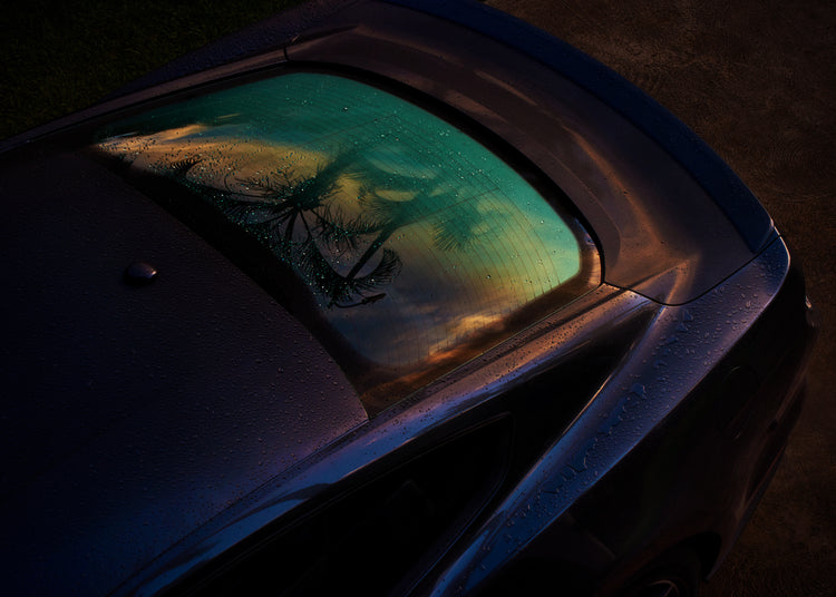 Sunset sky and outlines of palm trees reflected in a rain-stained car window.