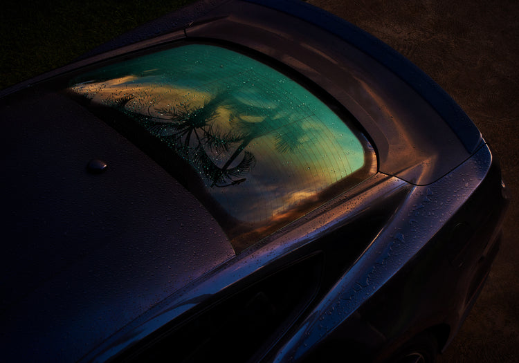 Sunset sky and outlines of palm trees reflected in a rain-stained car window.