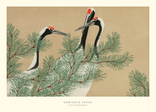 A poster featuring three Japanese cranes amidst pine branches, with a soft beige, black, white, and green color palette.