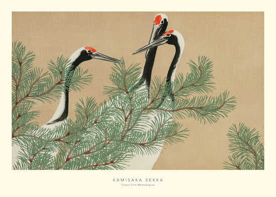A poster featuring three Japanese cranes amidst pine branches, with a soft beige, black, white, and green color palette.