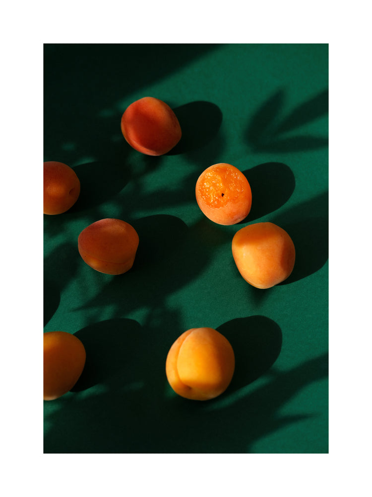 In the Evening Sun Poster