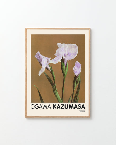 A framed poster titled Iris Kæmpferi by Ogawa Kazumasa features botanical art of light purple irises on a brown background, embodying Japanese aesthetics, with OGAWA KAZUMASA in bold black letters at the bottom.