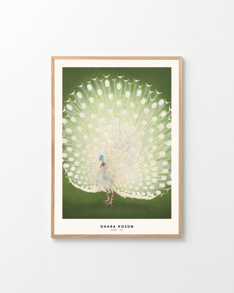Framed artwork of a peacock with a green background