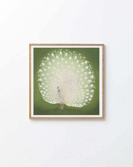 Framed artwork of a peacock with a green background