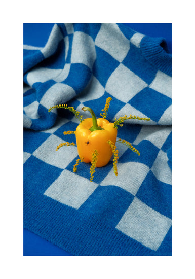 The Little Visitor Poster features a yellow bell pepper with sprigs of yellow flowers on a blue and white checkered fabric, creating a vibrant and playful scene against the blue background.