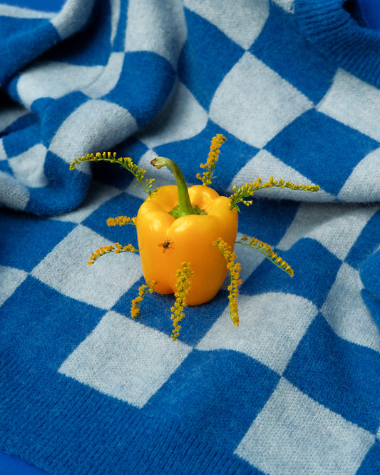 A yellow bell pepper with tiny flowers and a bug sits atop a blue checkered blanket, adding a playful vibe. This scene is captured perfectly in the Little Visitor Poster, reflecting Sofie Sunds vibrant artistic style.