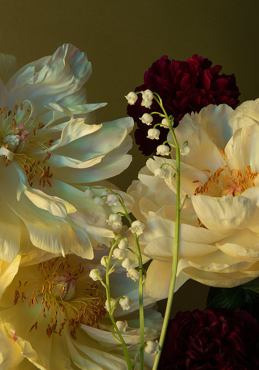 The Peony & Lily of the Valley Poster showcases a still life close-up of light yellow peonies, deep burgundy blooms, and delicate white lily of the valley against a muted green background, enhancing the vibrant colors.