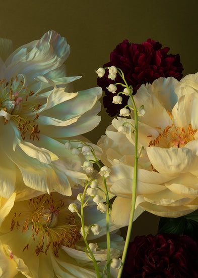 The Peony & Lily of the Valley Poster showcases a close-up of a still life floral arrangement with white and cream peonies, deep burgundy flowers, and delicate lily of the valley on a muted green background, enhancing the vibrant flower colors.