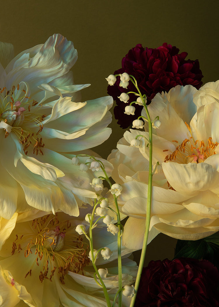 The Peony & Lily of the Valley Poster showcases a close-up of a still life floral arrangement with white and cream peonies, deep burgundy flowers, and delicate lily of the valley on a muted green background, enhancing the vibrant flower colors.